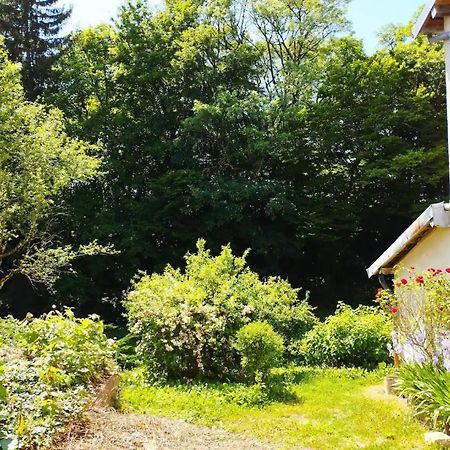 Les Glycines, Un Air De Campagne A La Ville 贝桑松 外观 照片