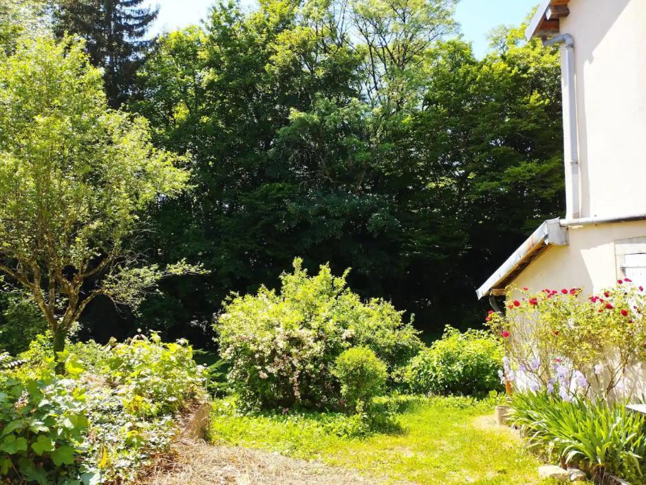 Les Glycines, Un Air De Campagne A La Ville 贝桑松 外观 照片